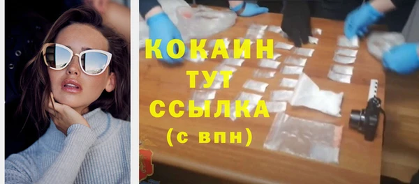 дживик Липки