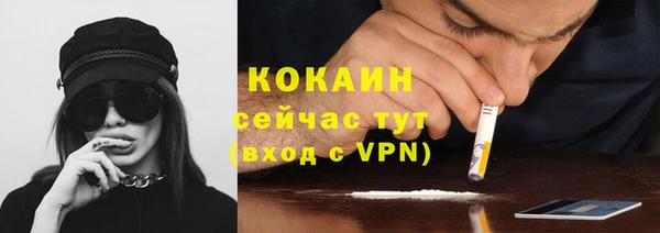 дживик Липки