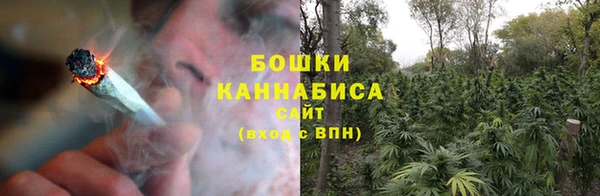 дживик Липки